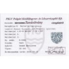 CZ 550 .30 – 06 Springfield ismétlő golyós vadászfegyver – használt – RAPTOR