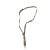 Hordszíj 1 pontos bungee gen.2 – olive – RAPTOR