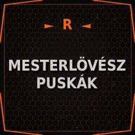 Mesterlövész puskák